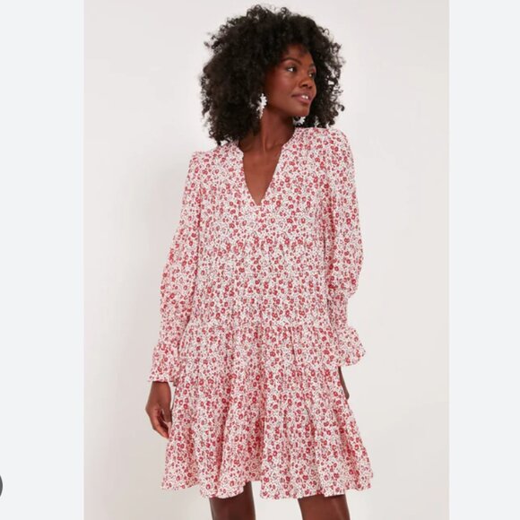 Tuckernuck Pomander Place Scarlet Ditsy Red Floral Kenzo Swing Dress Size Large - Picture 1 of 8